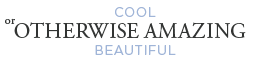 Cool, Beautiful, or Otherwise Amazing logo