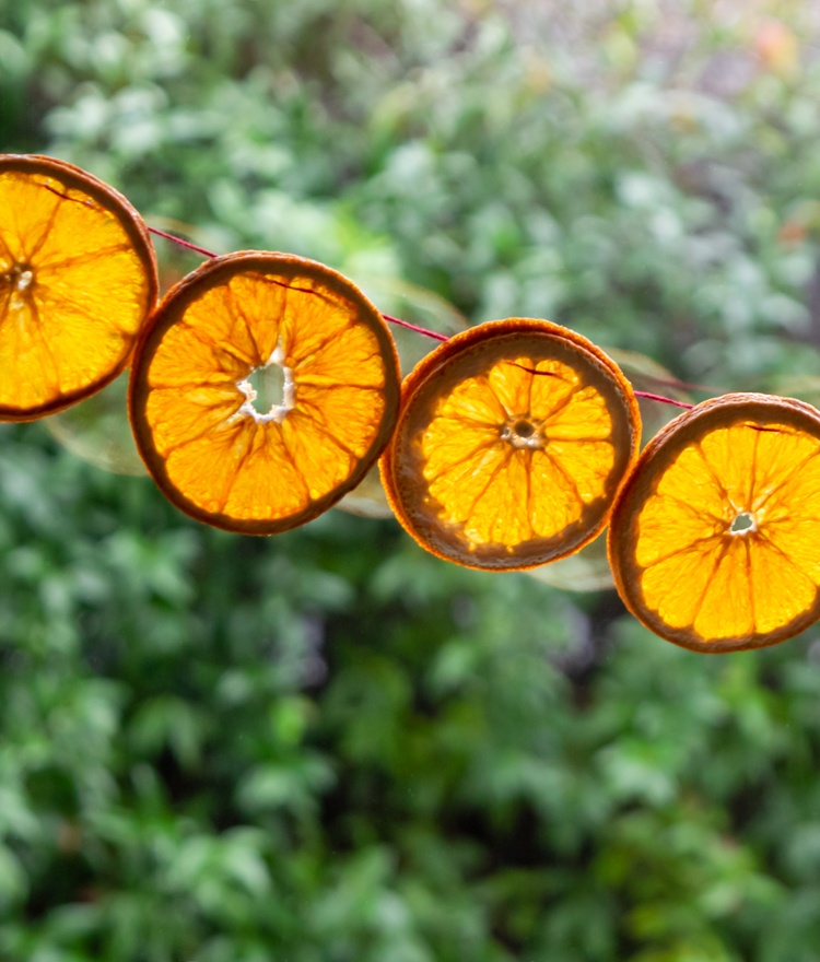 Dried orange garland christmas craft