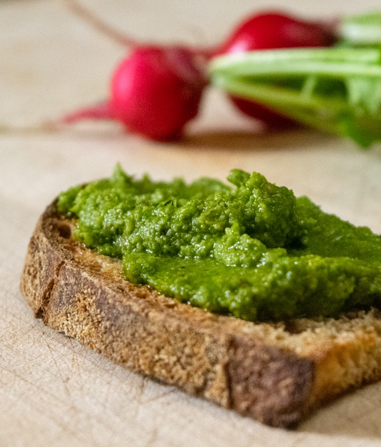 Can You Eat Radish Greens? Yes! Make Pesto