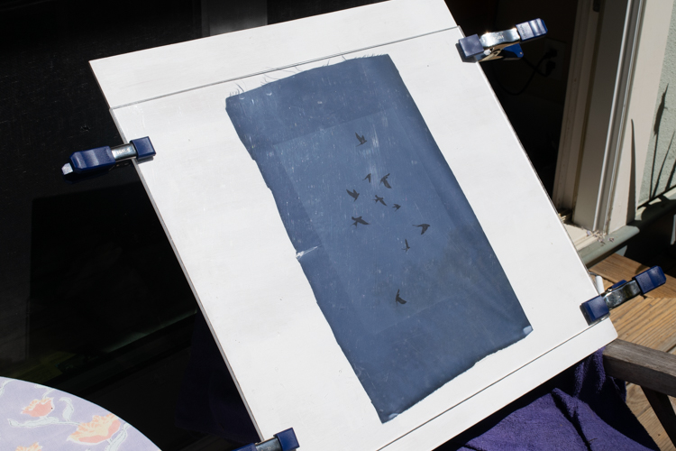 Using film for cyanotypes on fabric